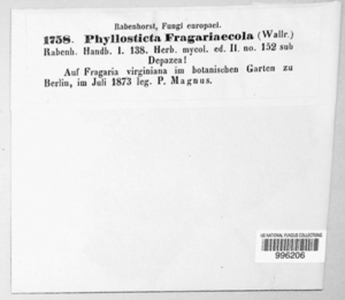 Phyllosticta fragariicola image